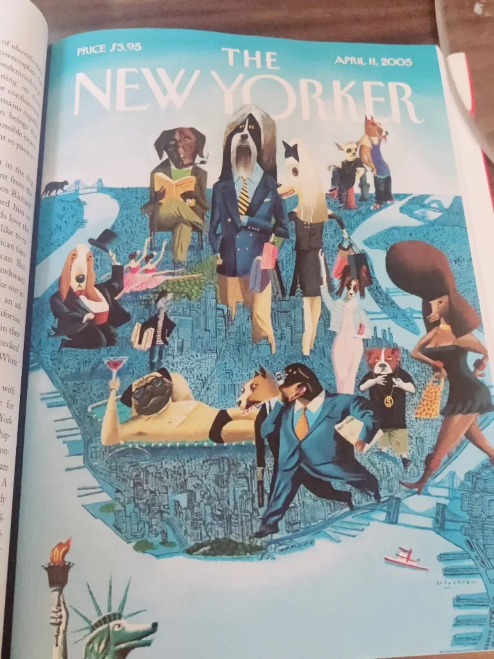 New Yorker book photographs